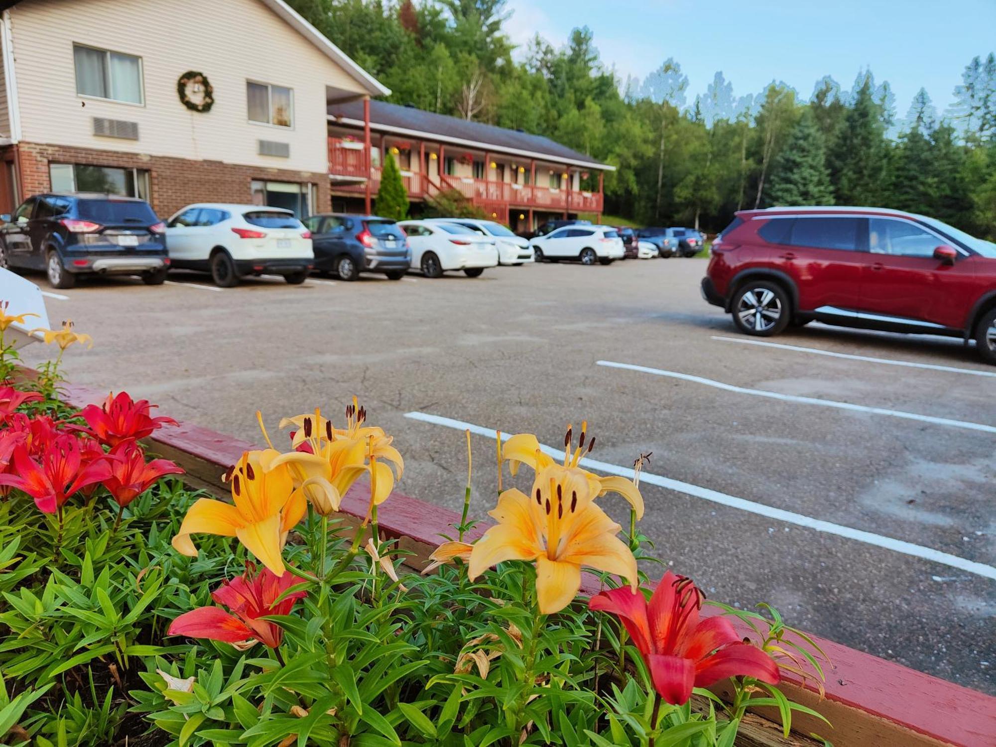 Motel Le Radisson de Val-David Esterno foto